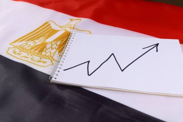 شركة تسويق في مصر 2025